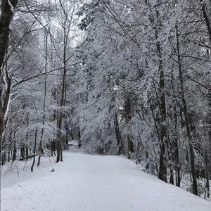 Meet your Posher, Vy